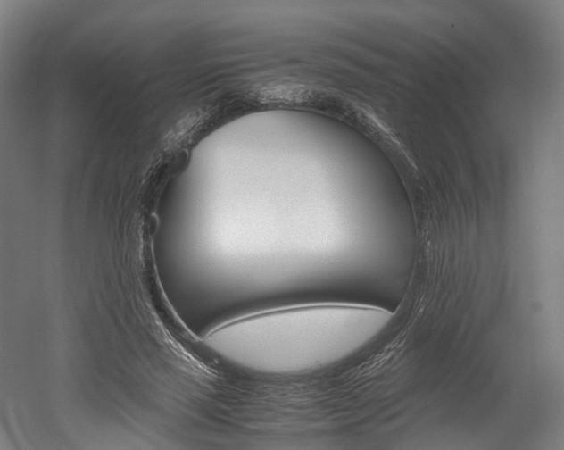 X0000052630637200507011034