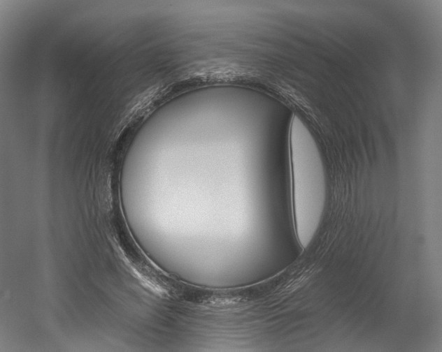 X0000052630638200507011034