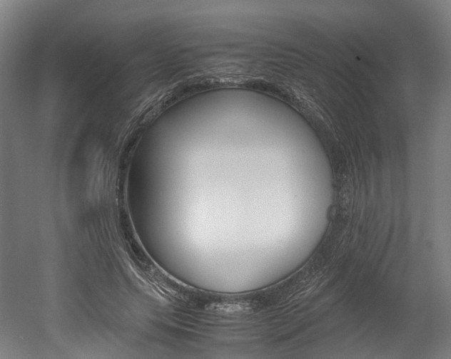 X0000052630639200507011034