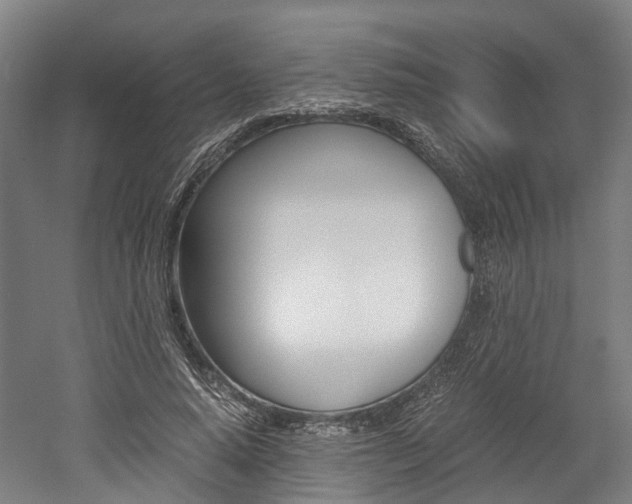 X0000052630640200507011034