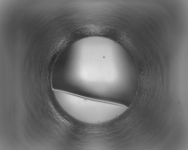 X0000052630642200507011035