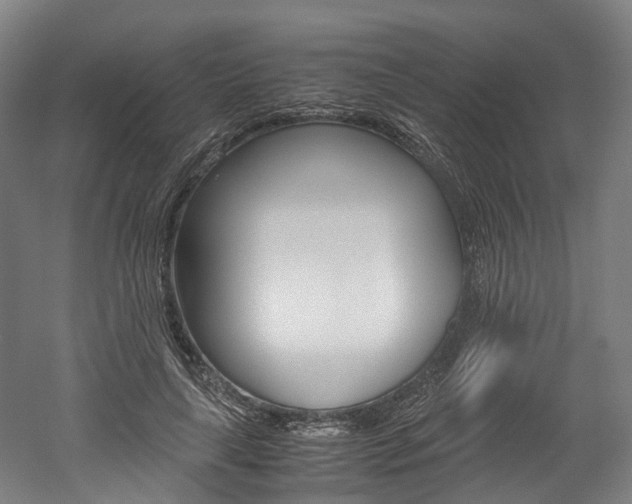 X0000052630643200507011035
