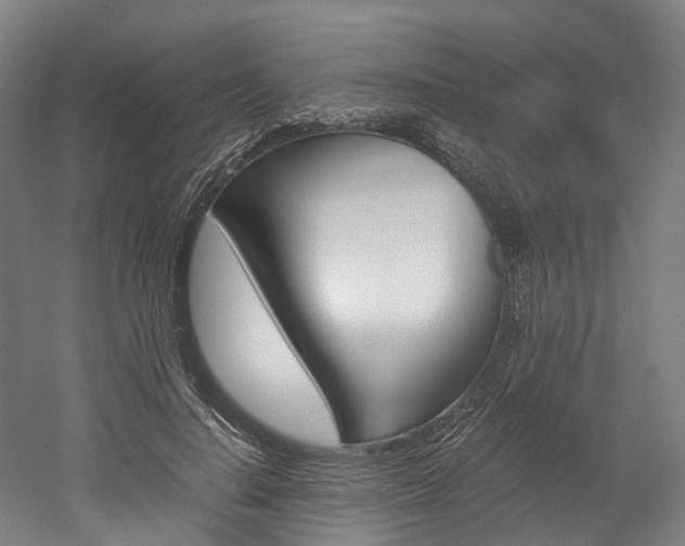 X0000052630644200507011035