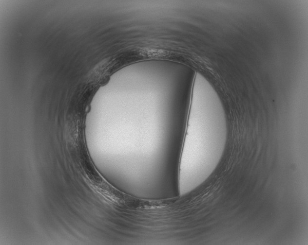 X0000052630645200507011035