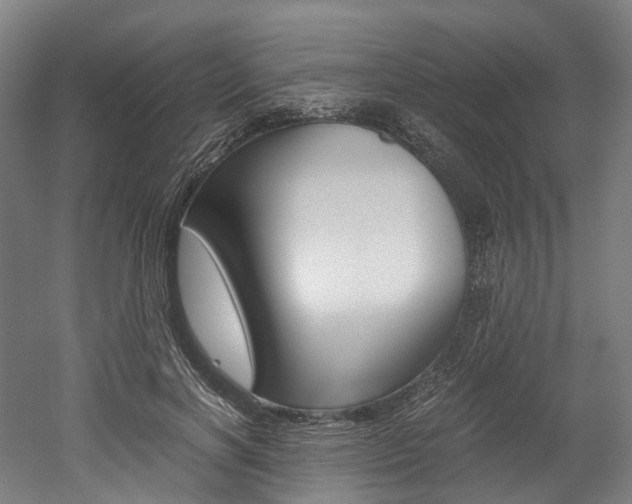 X0000052630646200507011035