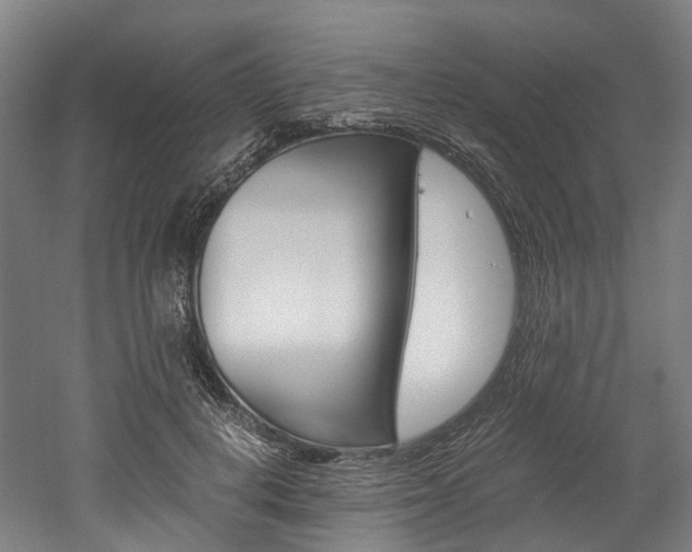 X0000052630648200507011035