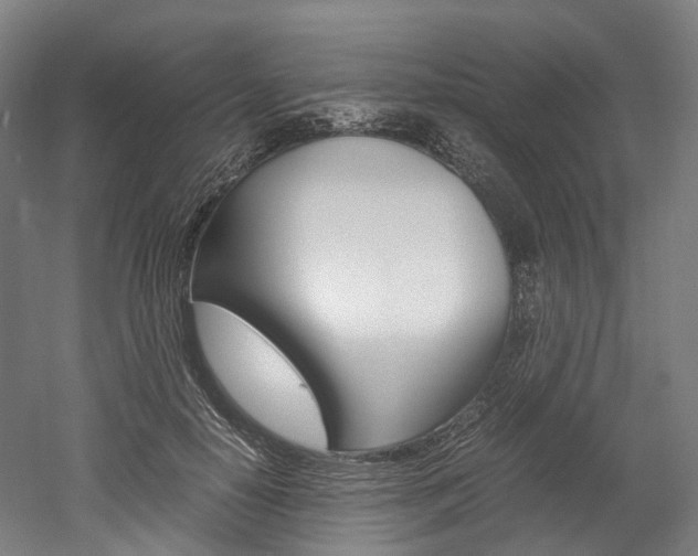 X0000052630650200507011035