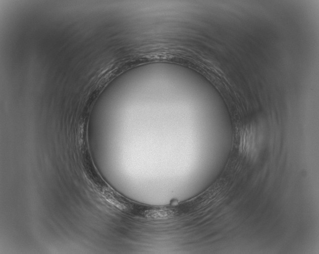 X0000052630652200507011035