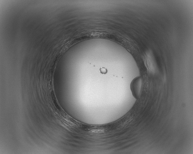 X0000052630653200507011035