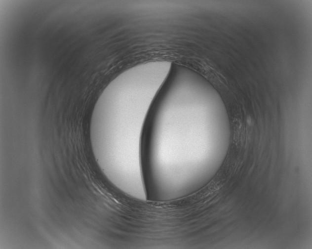 X0000052630655200507011035