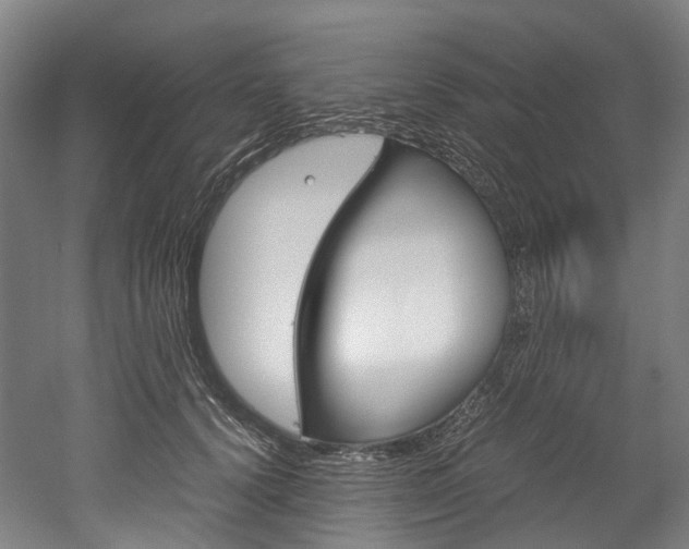 X0000052630656200507011035