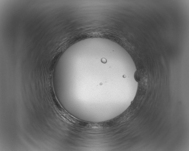 X0000052630658200507011035
