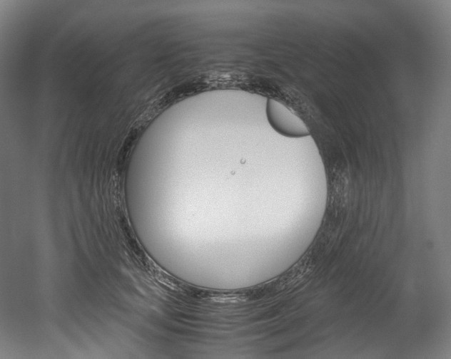 X0000052630659200507011035