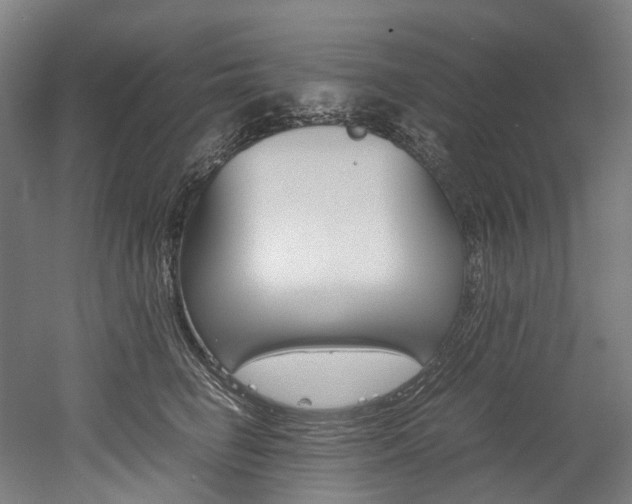 X0000052630662200507011035