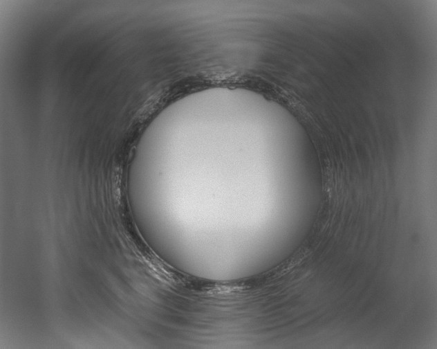 X0000052630664200507011035