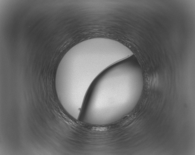 X0000052630665200507011035