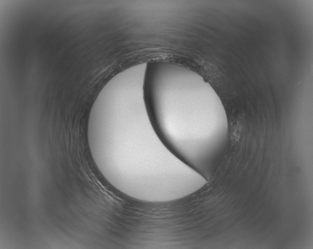 X0000052630666200507011035