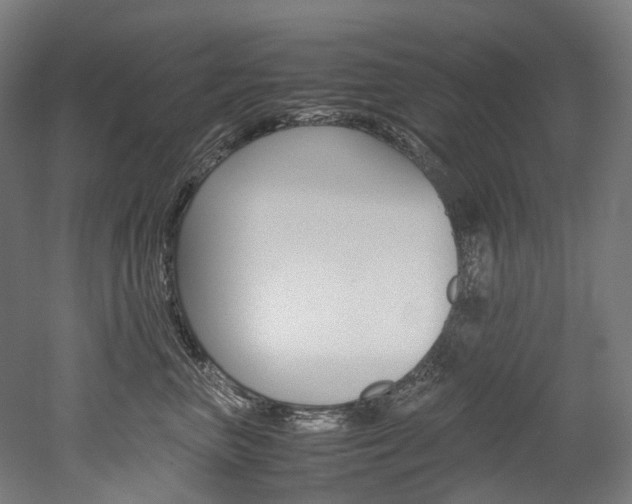 X0000052630667200507011035