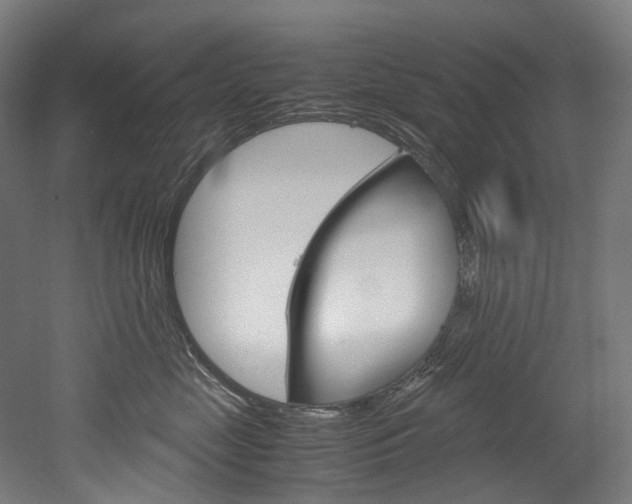 X0000052630669200507011035