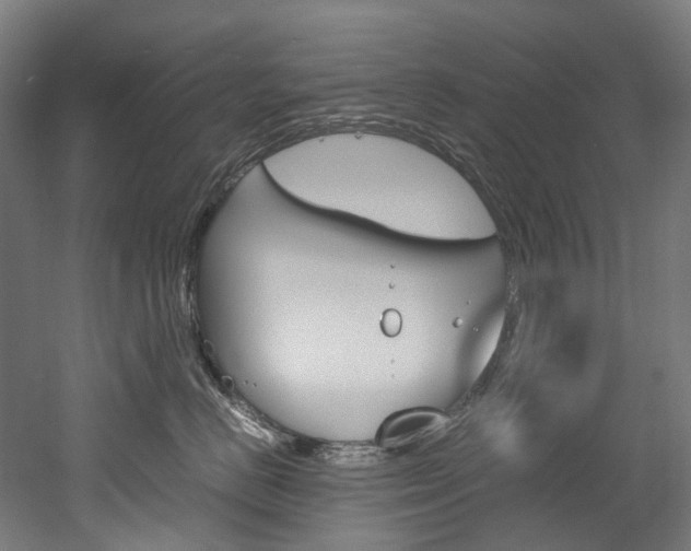 X0000052630670200507011035