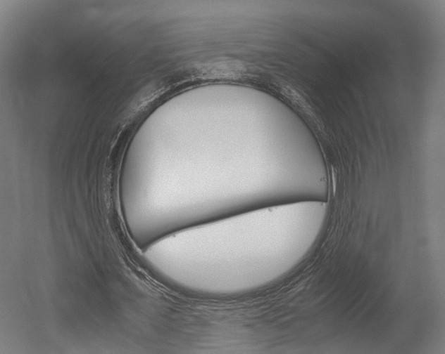 X0000052630675200507011034