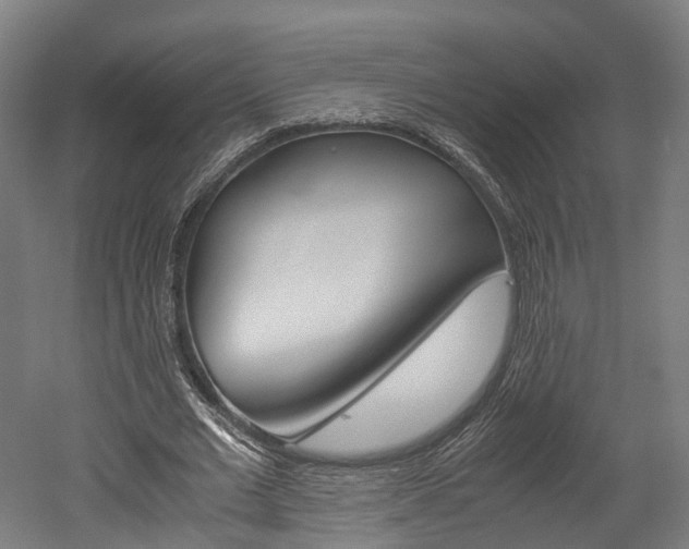 X0000052630677200507011034