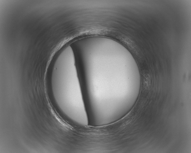 X0000052630678200507011034