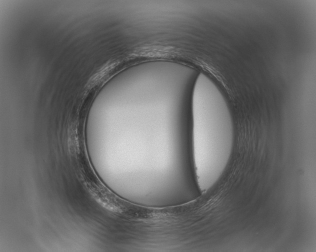 X0000052630682200507011034