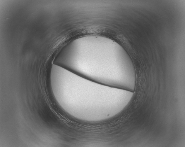 X0000052630683200507011034