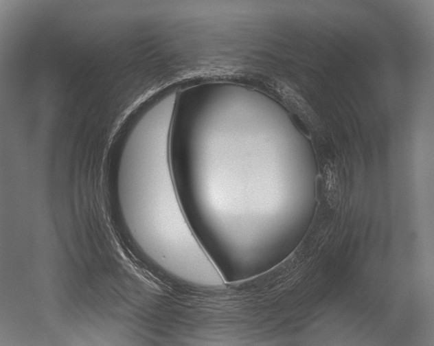 X0000052630684200507011034