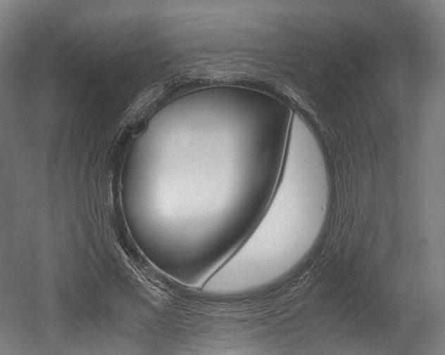 X0000052630685200507011034