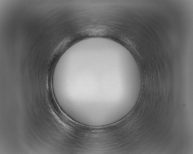 X0000052630686200507011034