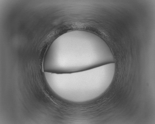 X0000052630687200507011034