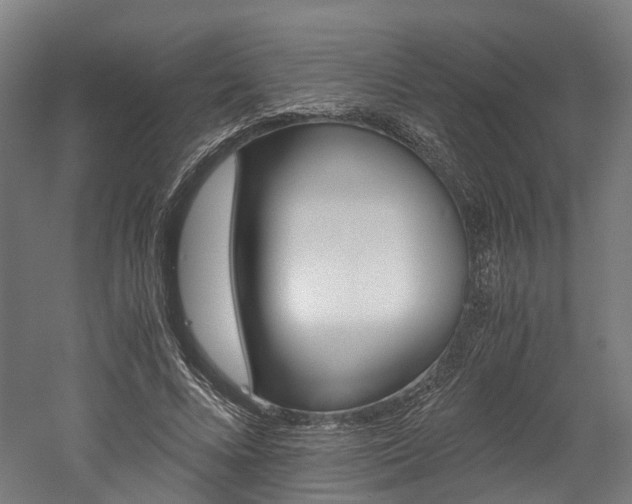 X0000052630688200507011034