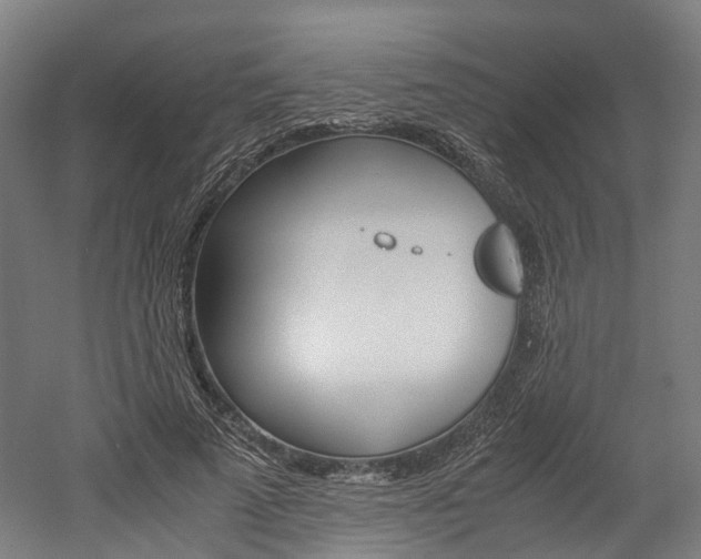 X0000052630689200507011034