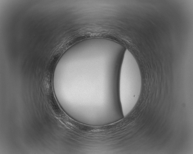 X0000052630691200507011034