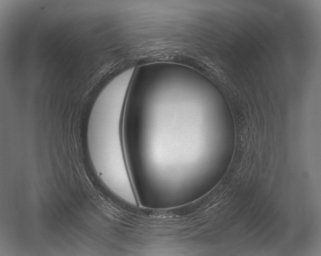 X0000052630693200507011034