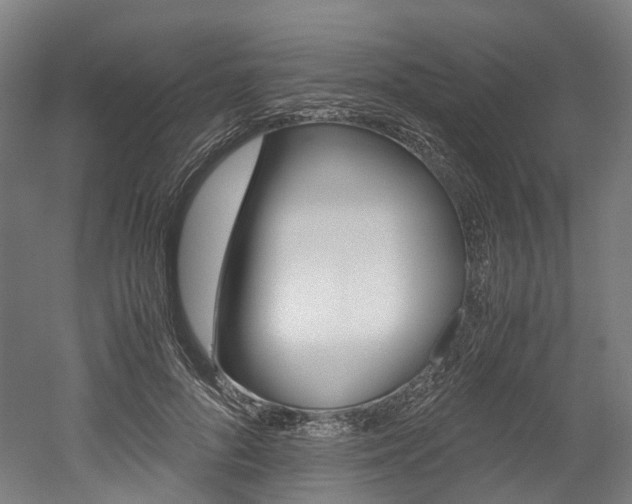 X0000052630696200507011034