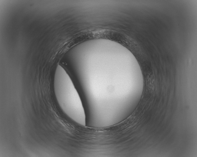 X0000052630698200507011034