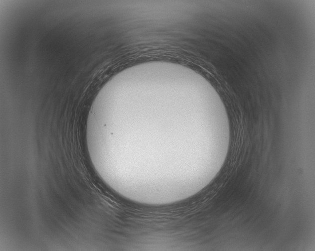 X0000052630701200507011034