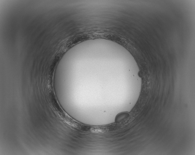 X0000052630706200507011034