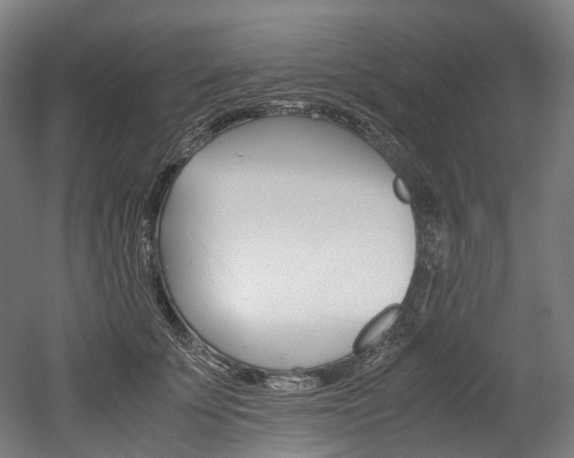 X0000052630707200507011034