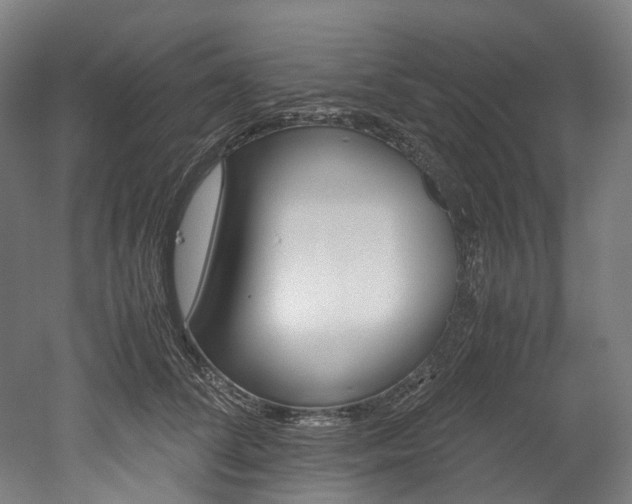 X0000052630708200507011034