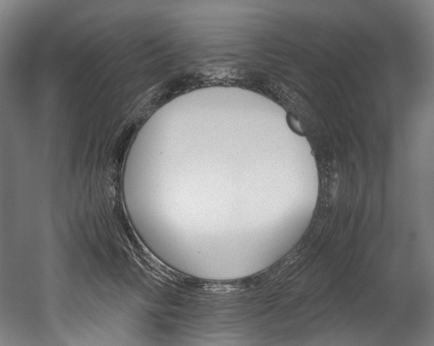 X0000052630710200507011034