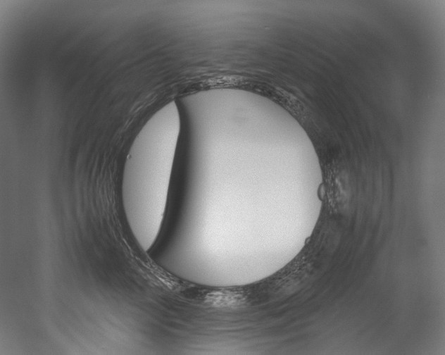X0000052630714200507011034