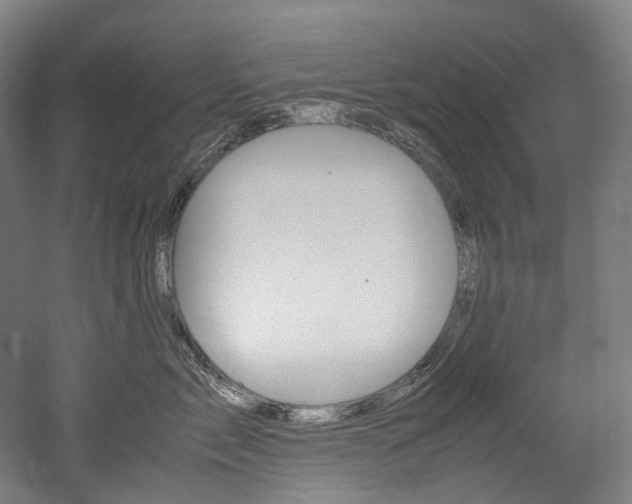 X0000052630717200507011033