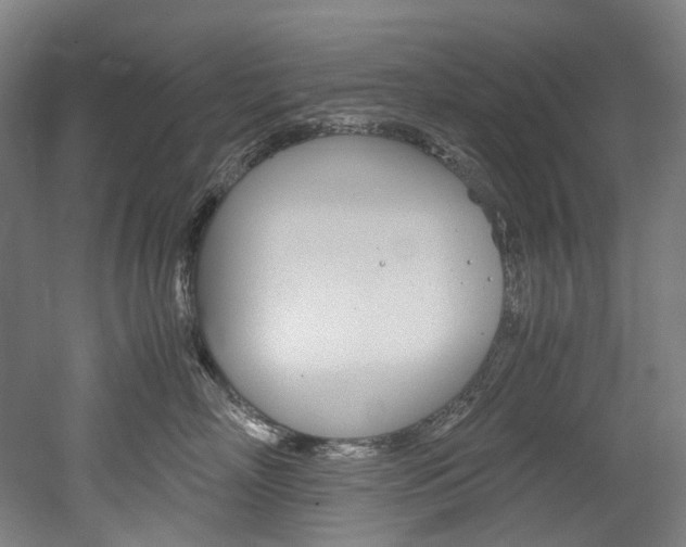 X0000052630718200507011033