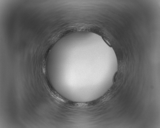 X0000052630719200507011033