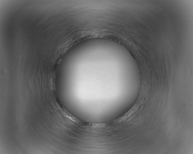 X0000052630720200507011033