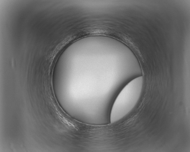 X0000052630721200507011033